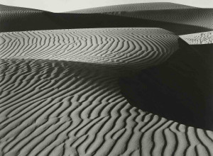 Edward Weston, (1886–1958), Wind Erosion, Dunes at Oceano, 1936, gelatin silver print, mounted on card, likely printed 1940s. Estimate: $150,000-$250,000.