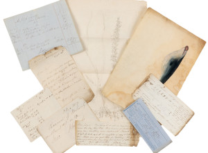 Part of the Sowerby archive