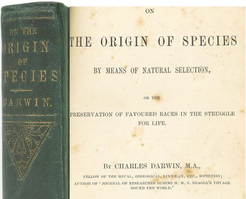 First Edition Of Darwin's Origin Of Species To Be Auctioned | Fine ...