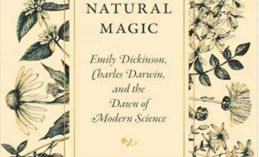 Natural Magic: Emily Dickinson, Charles Darwin, and the Dawn of Modern Science by Renée Bergland 