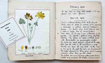 Amy E Morrisey's natural history diary from 1902, sold by Janette Ray Bookseller