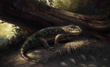 Artistic reconstruction of Bolg amondol, depicted raiding an oviraptorosaur dinosaur nest amidst the lush Kaiparowits Formation habitat