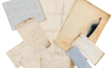 Part of the Sowerby archive