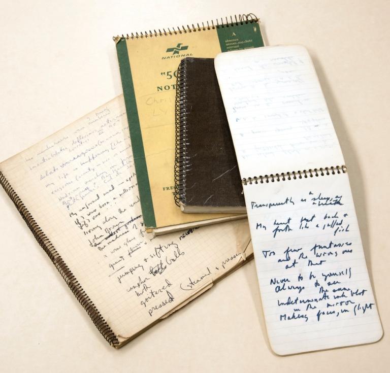 Seidel notebooks