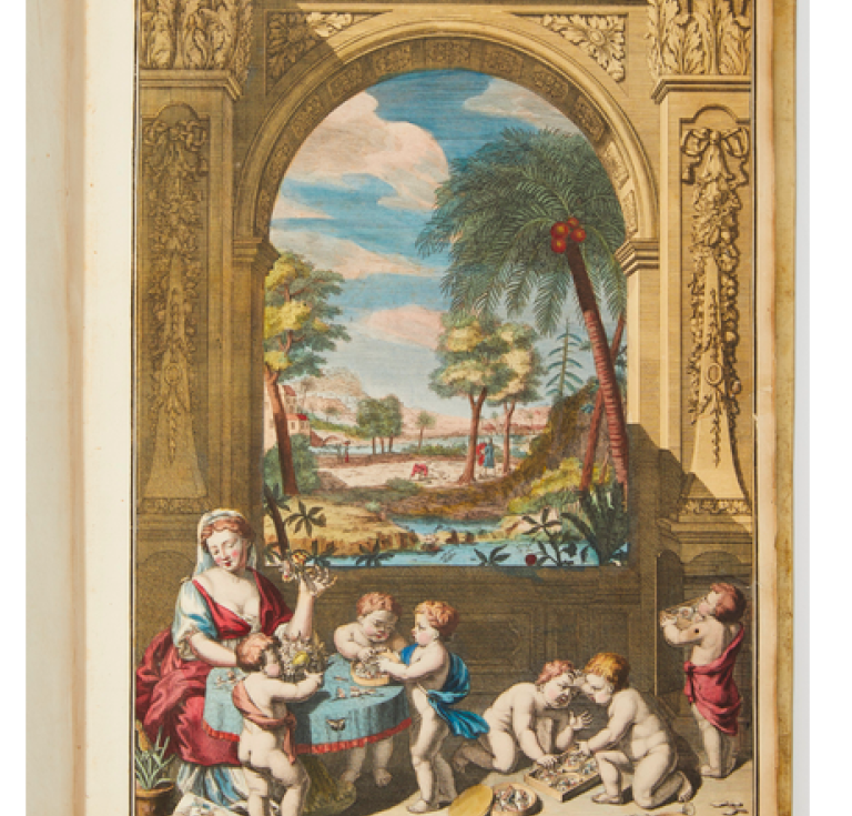 Merian’s Dissertatio