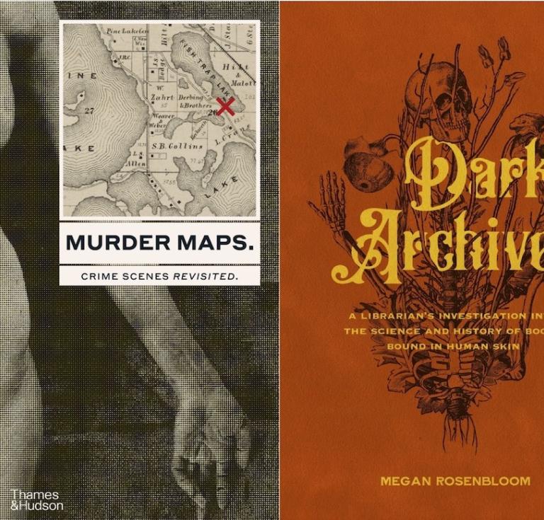 Book covers Murder Maps, Dark Archives