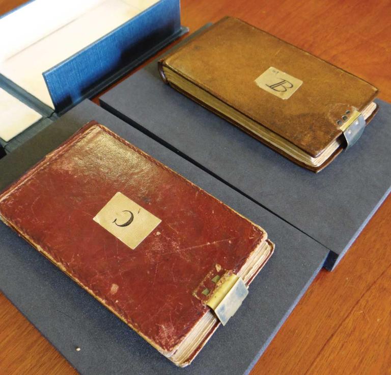 Darwin notebooks