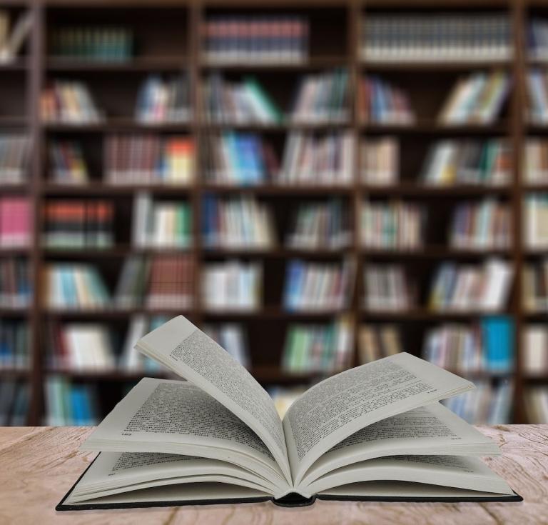 book and bookshelves