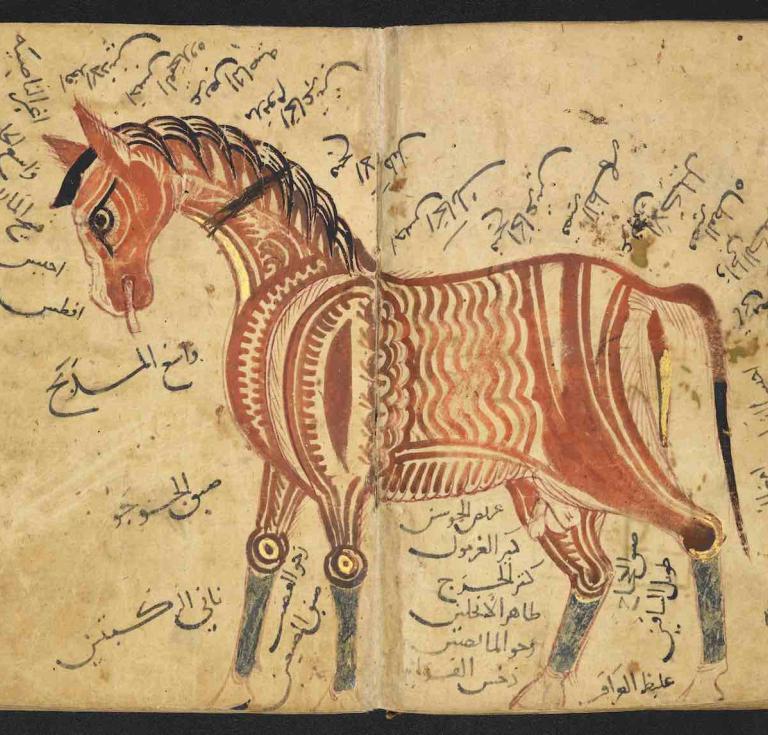 Ab Muammad Amad ibn Atq alAzd Kitb albayarah, Book on veterinary medicine, c.1223