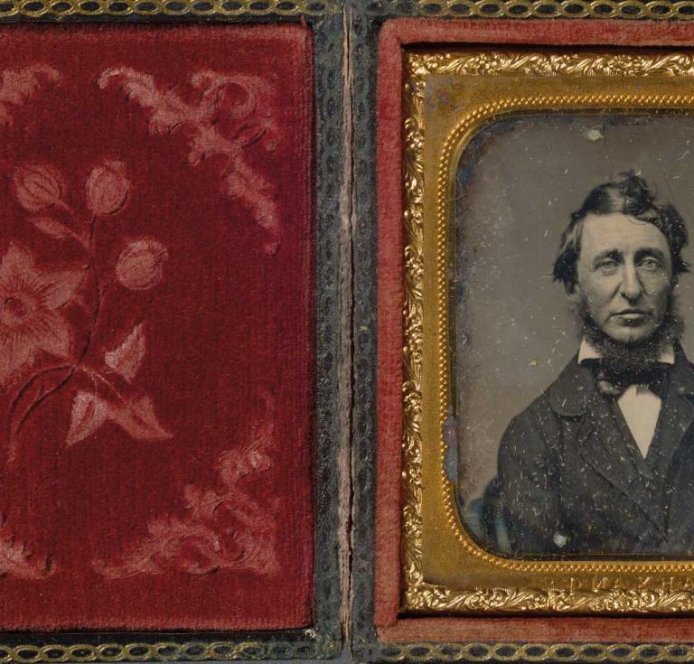 This Ever New Self: Thoreau and His Journal