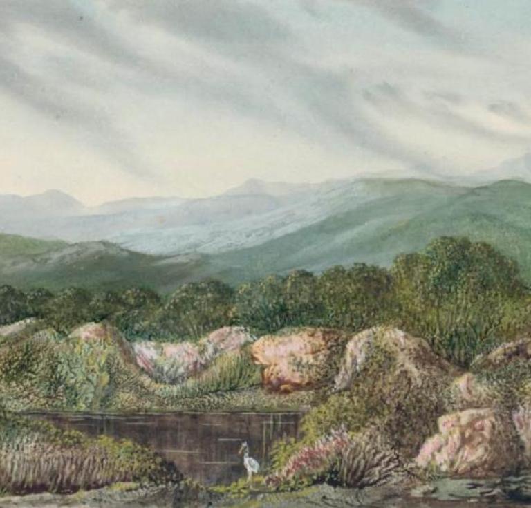 George Sand, Mountainous Landscape with Lake, Dendrite, 