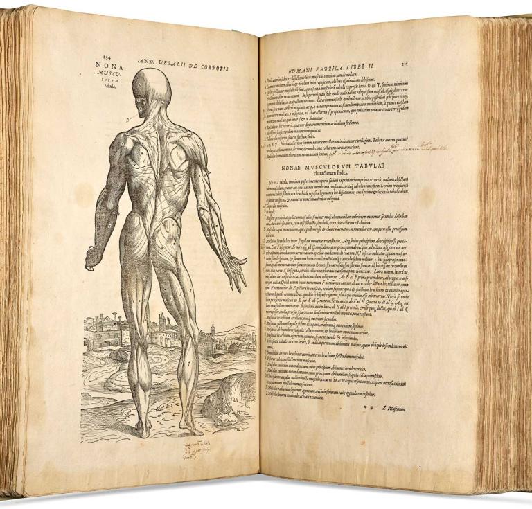 Opening from Vesalius showing annotations and illustration