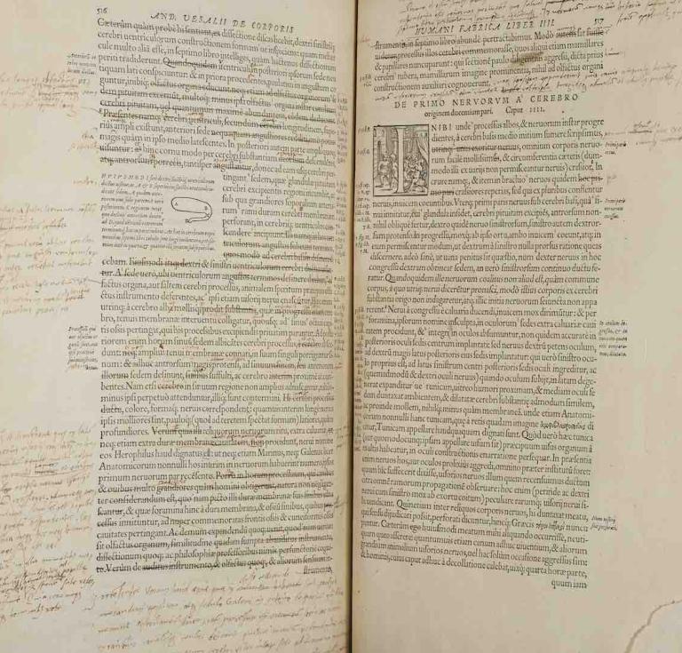 Vesalius's own copy of De Humani Corporis Fabrica