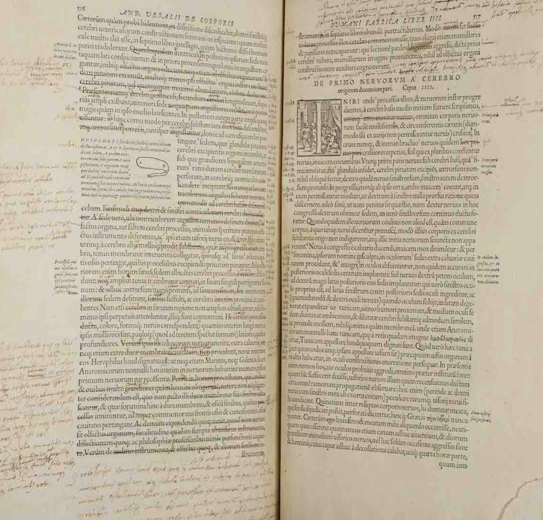 Vesalius's own copy of De Humani Corporis Fabrica 