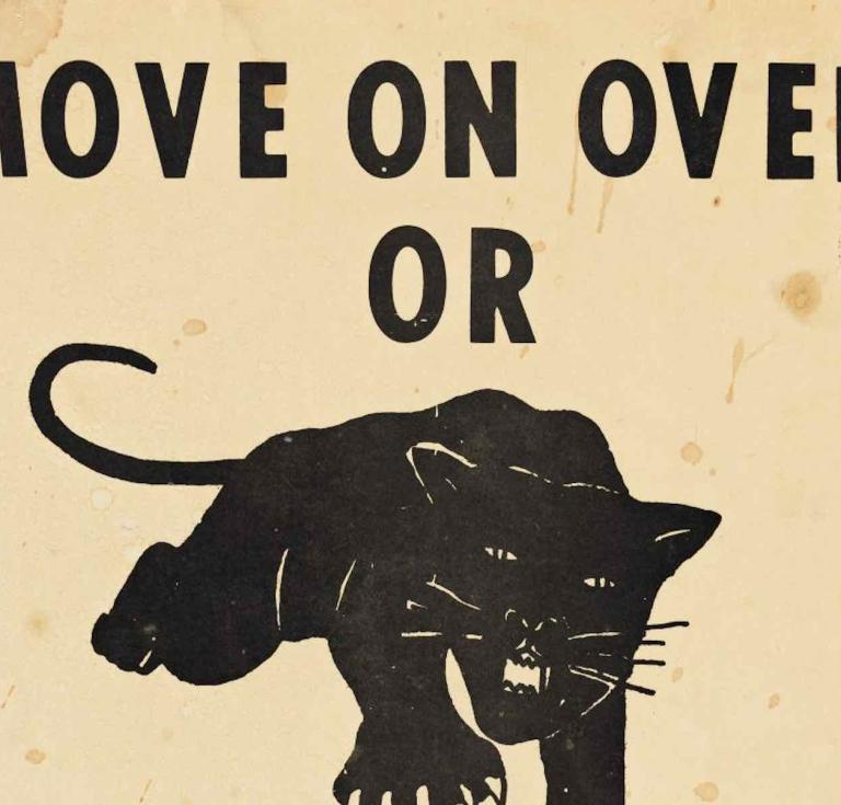 Black Panthers, Move On Over or We’ll Move On Over You