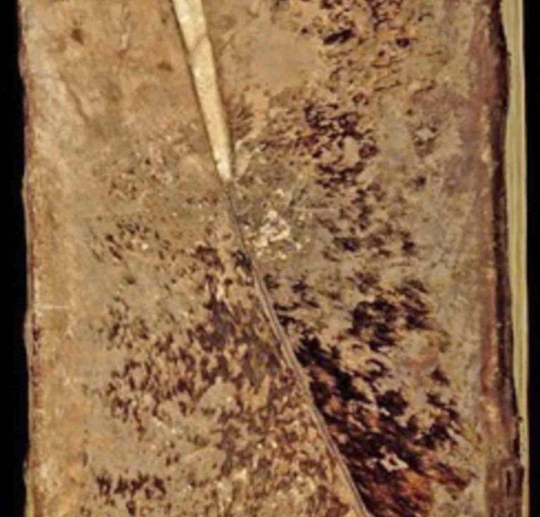 Romanesque binding from Clairvaux covered with a chemise with hairs on