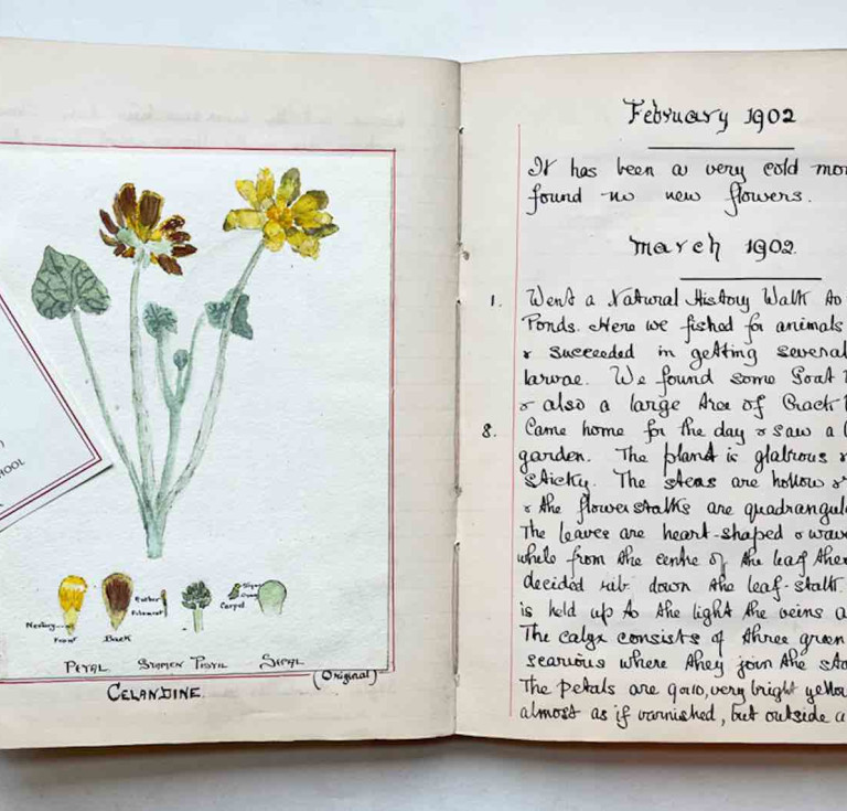 Amy E Morrisey's natural history diary from 1902, sold by Janette Ray Bookseller
